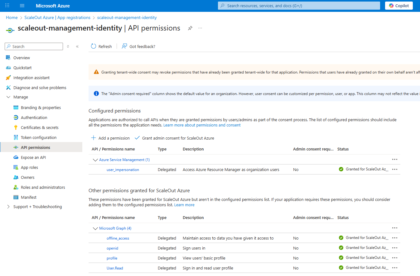 entra-apiPermissions